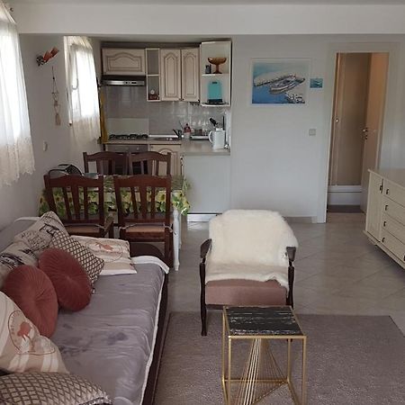 Apartment Branka Labin  Bagian luar foto